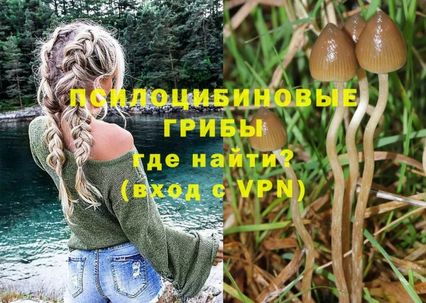 a pvp Богородицк